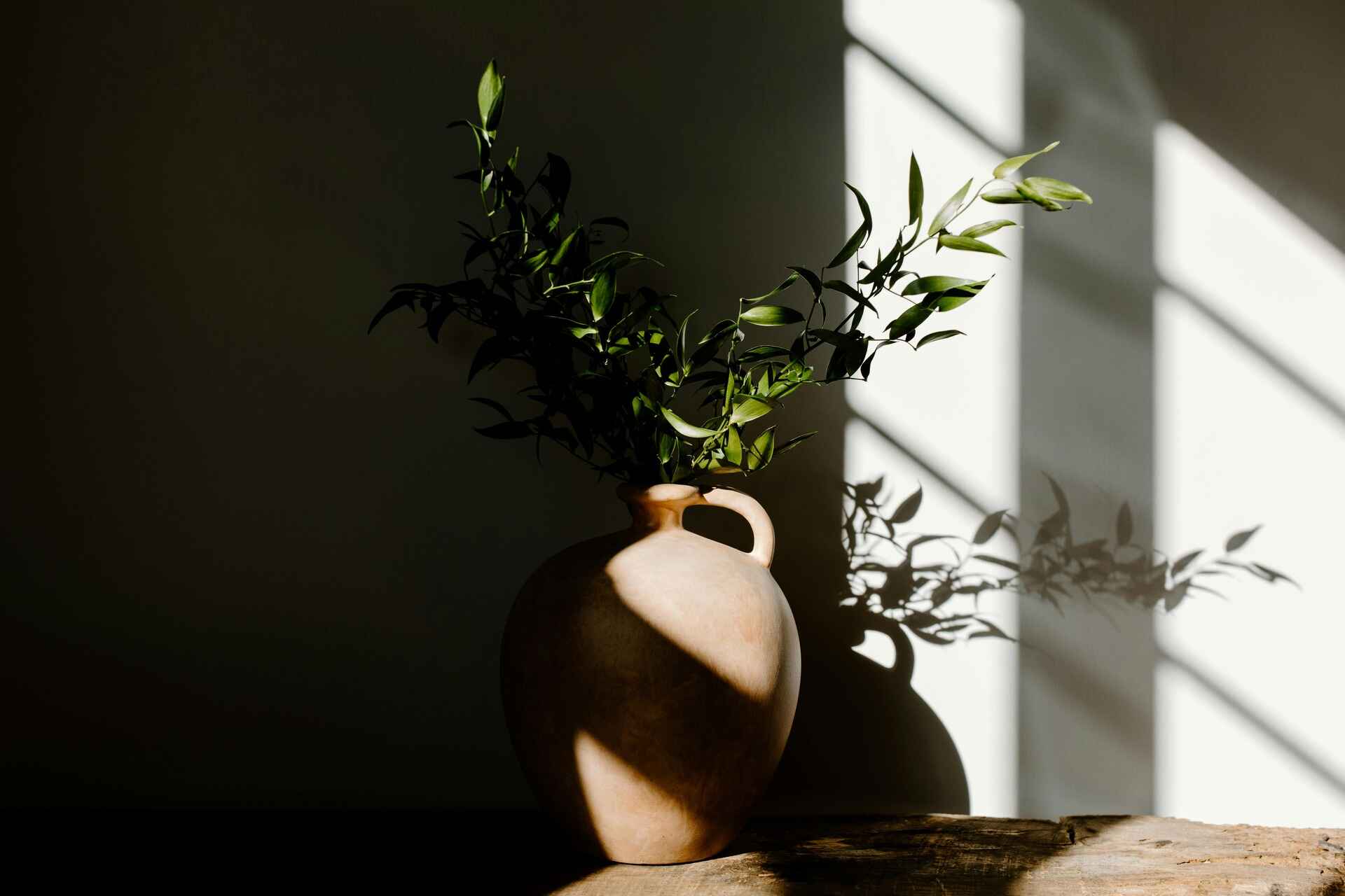 Planten als natuurlijke klimaatregeling in huis - Woonverhaal